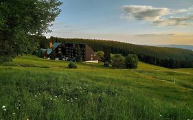 Hotel Tetřeví Boudy